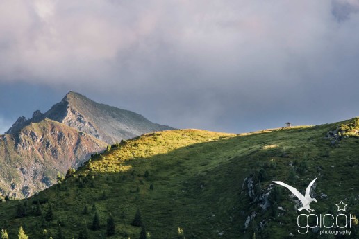 Die Abendsonne strahlt auf den grasigen Höhenrücken des Rossfeld.