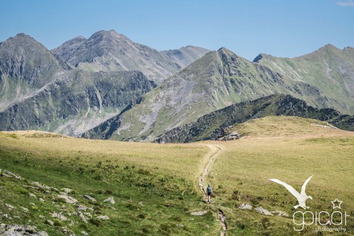 Eine Wanderin auf den Etrachböden im Naturpark Sölktäler